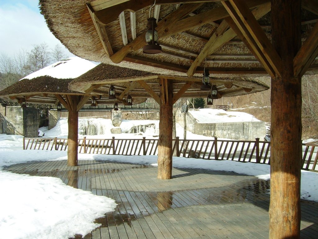 Pilze unter dem Schnee.