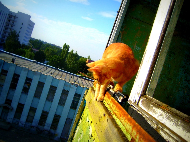 Mixer mischen - Sommer