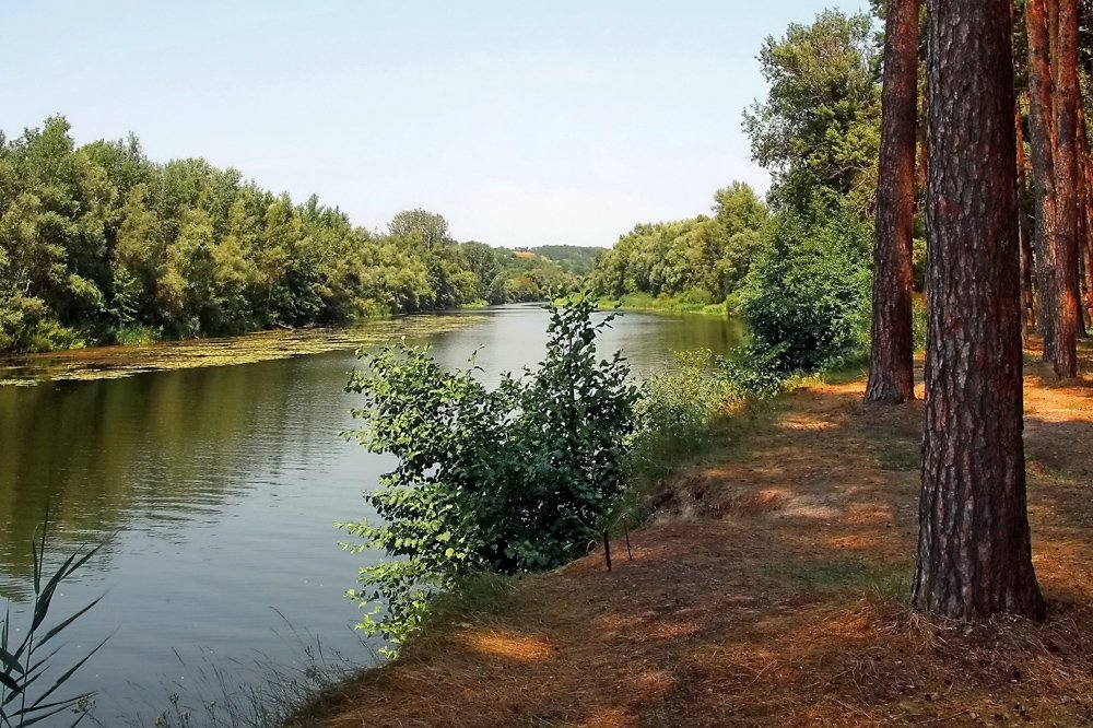 Morgen auf dem Fluss