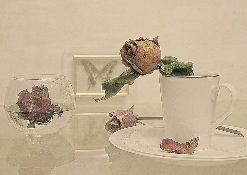 Sommer vergessen ....