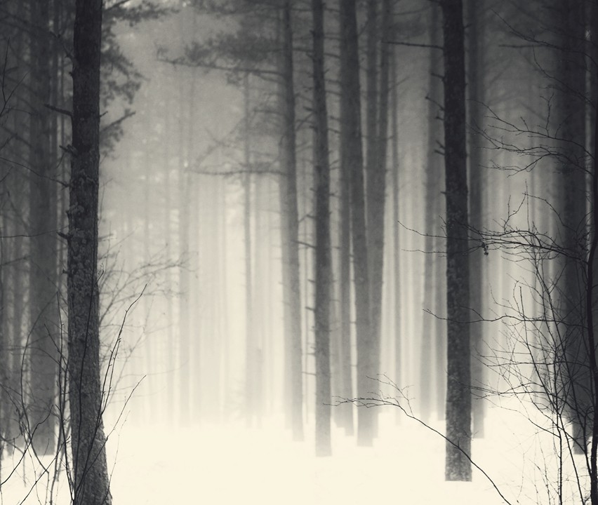 Frühlingsmorgen ...