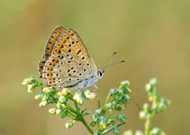 Also, wer versteckt sich da draußen?