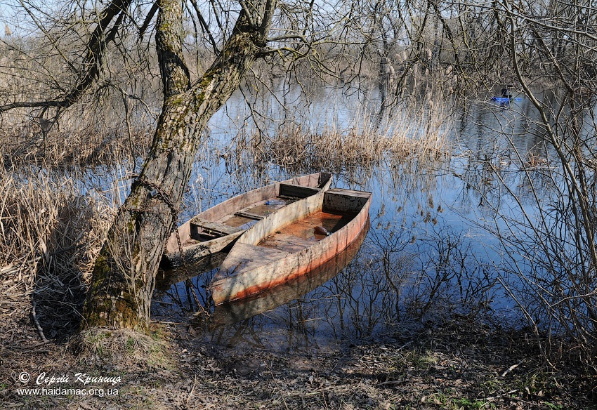 In Erwartung des Sommers