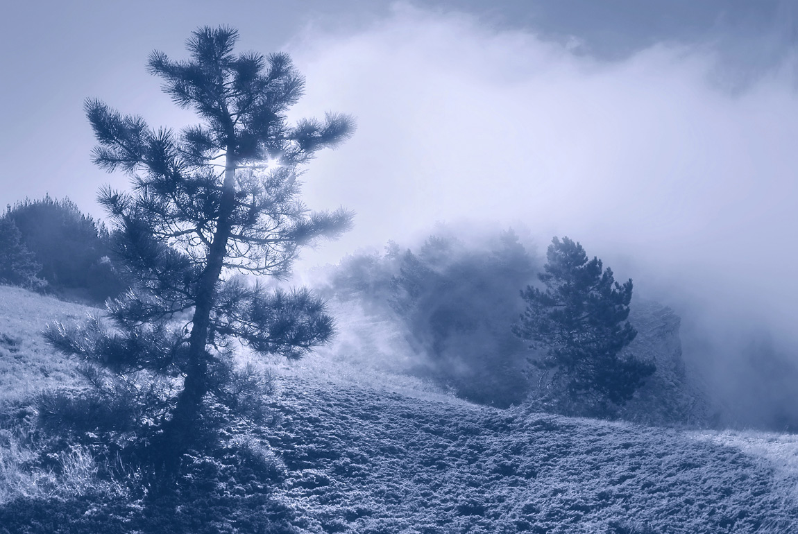 Schlaf, im Nebel ...