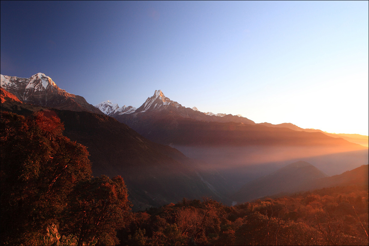 Golden Sonnenstrahl ...