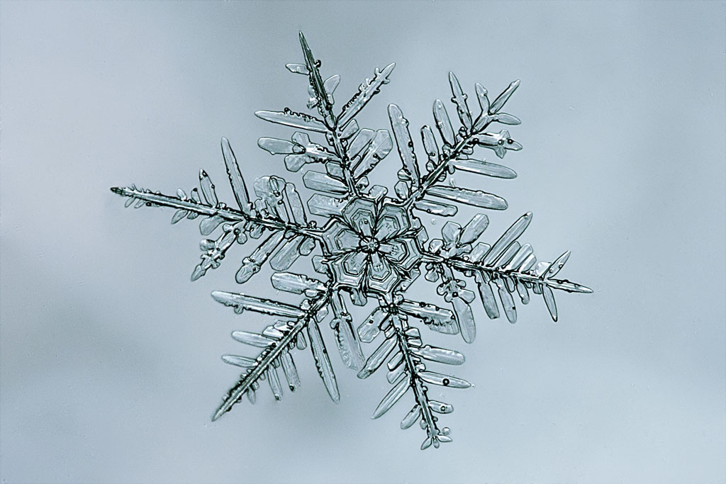 In den nächsten Winter))