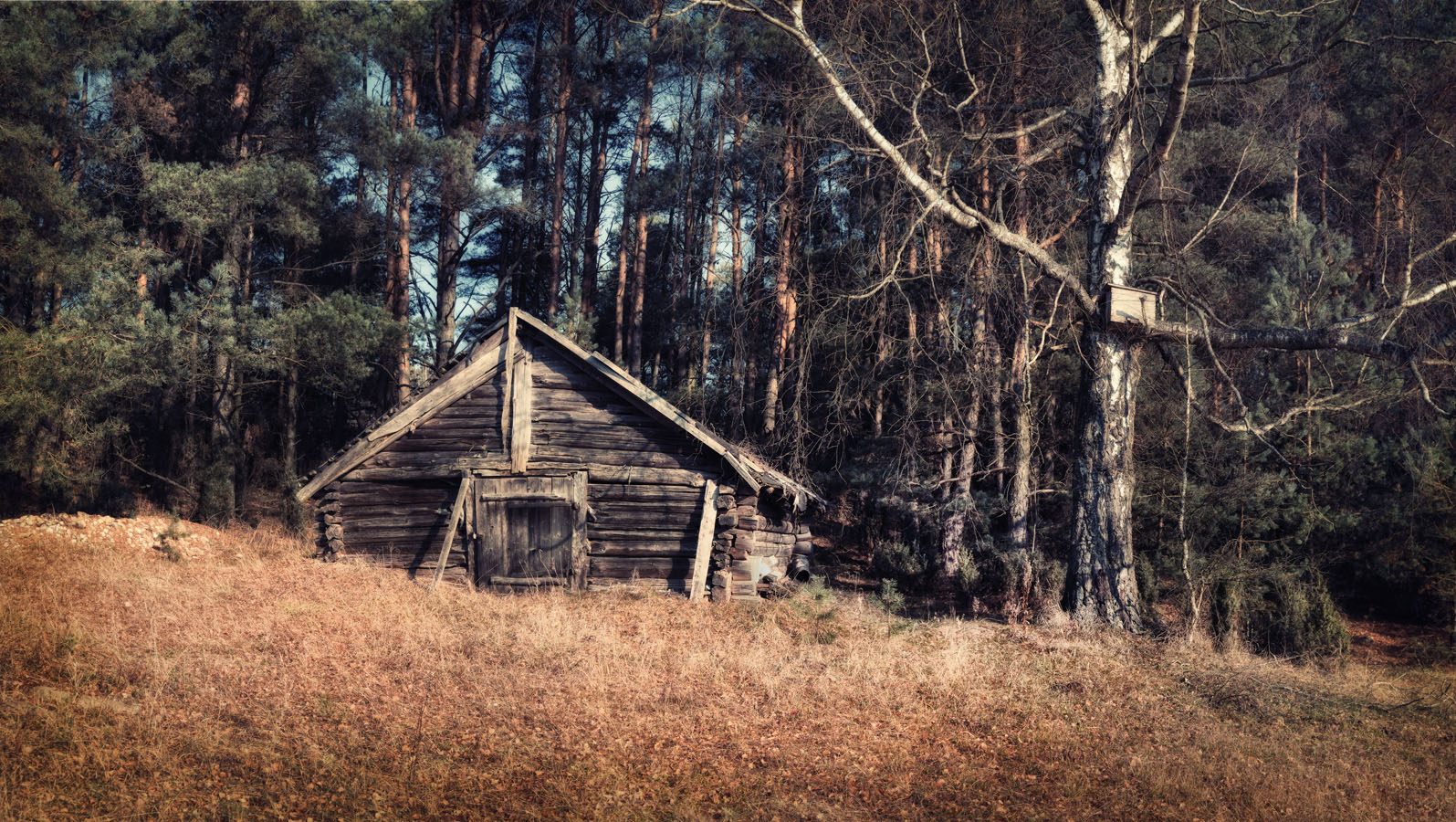 Shed meine Schuppen ...