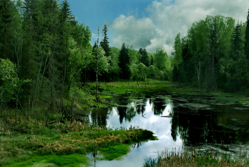 Von Viktor Wasnezow ...