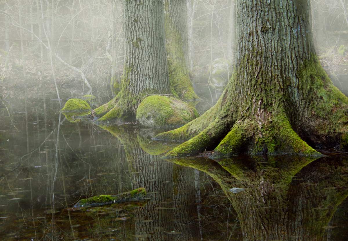 auf Hähnchenschenkel