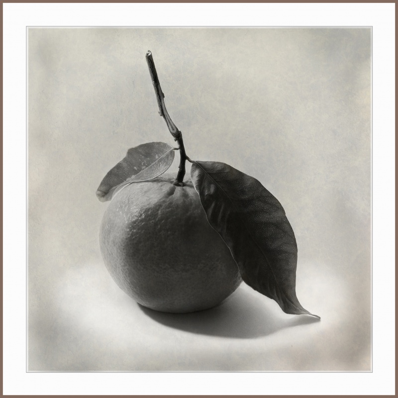 Besucher aus Marokko