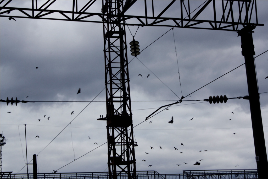 Eisenbahn \\ \\ Liebe auf den Draht