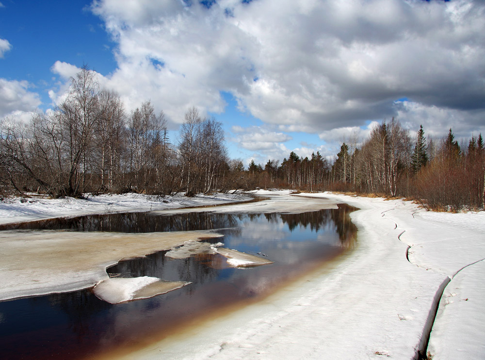 Als der Frühling kam, um Areli