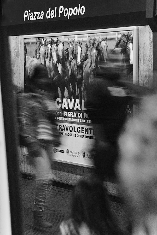 Das Tempo des Lebens