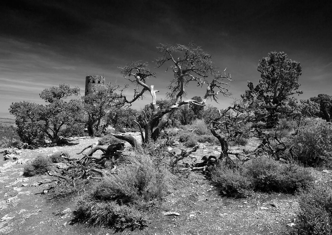 In der Nähe des Turms