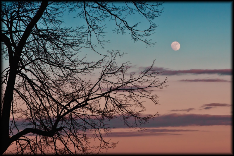 Längere Tag, nicht Nacht