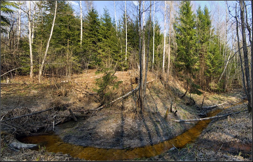 Pro Spring Fever ...