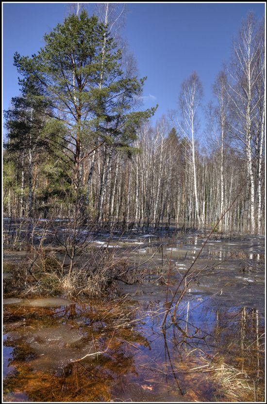 Hochwasser hat begonnen