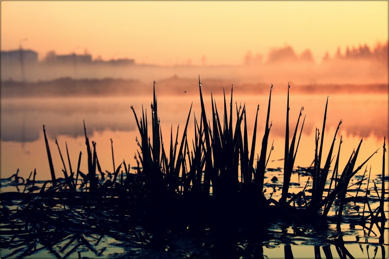 Vom Wasser in die Sonne