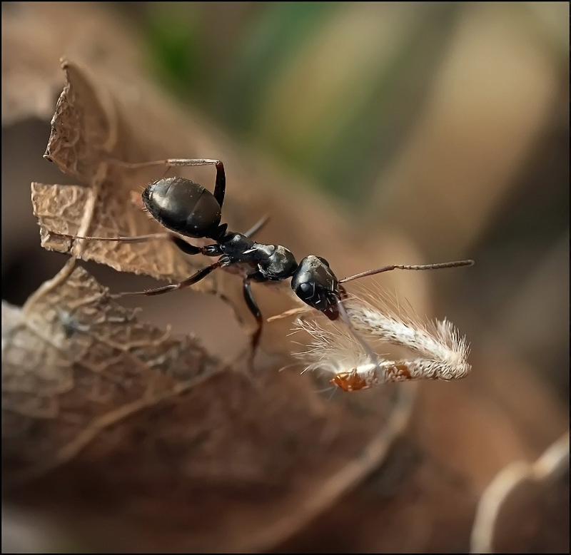 Treffen im Sommer ...