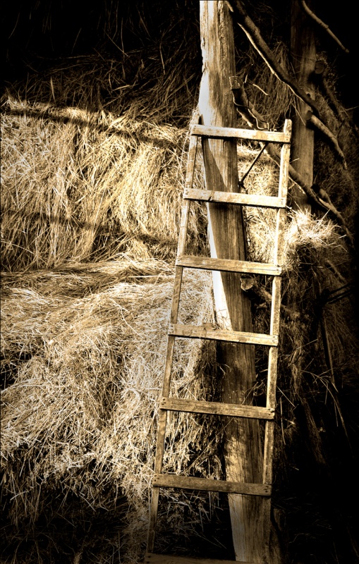 Der Geruch der Landschaft