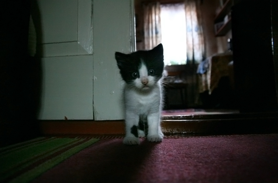 ... Erschrockenen Augen an ...