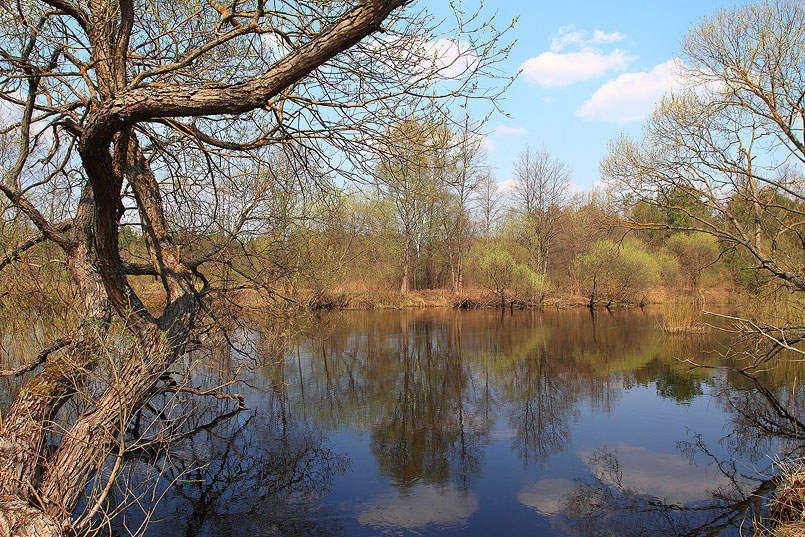 Frühlingslandschaft