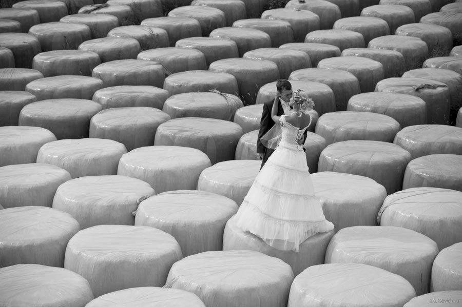 Liebe Käseschachtel ...