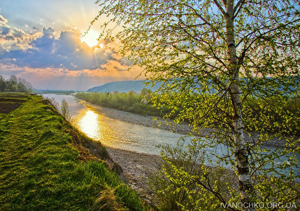 Der Frühling kommt in den Morgen