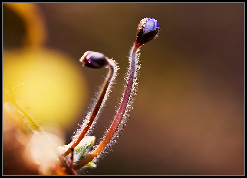 Wir sind schon sehr groß ...