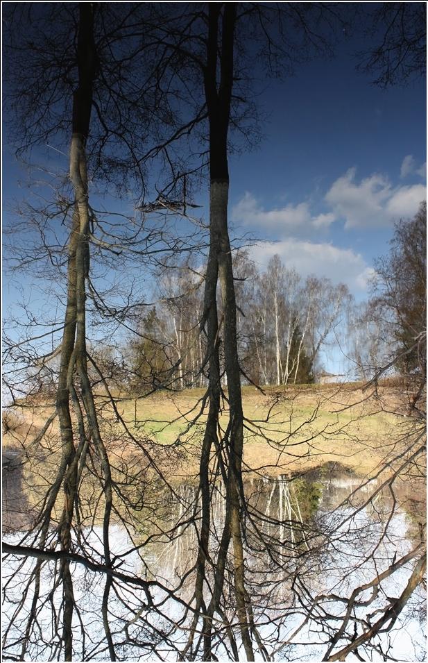 Es jo drevy prarastayuts in den Himmel