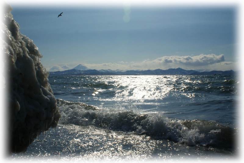 Die Magie des Pazifik