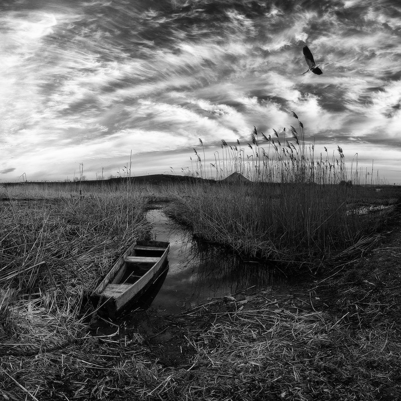 Große Wasser fordert