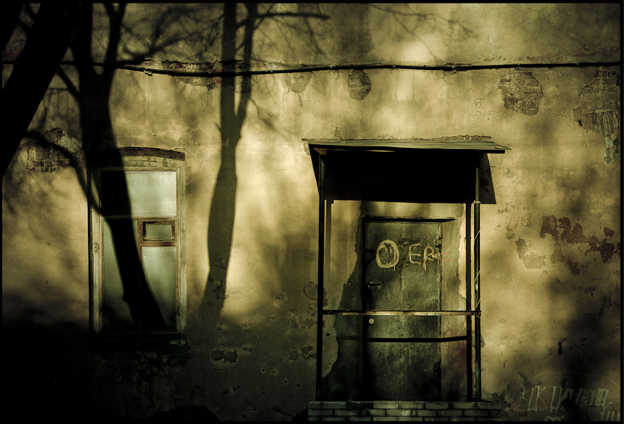 Die Schatten von meinem Garten