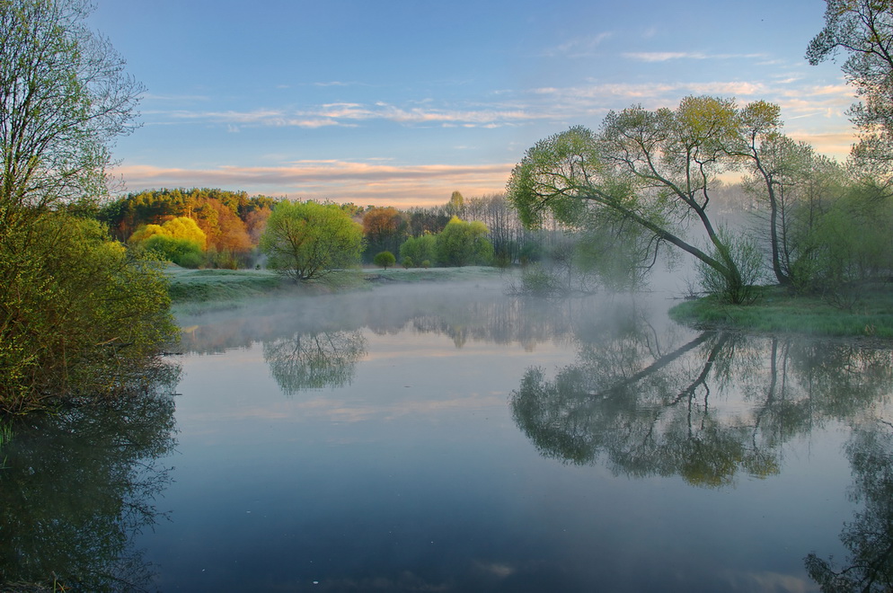 Die Texte des Lichts. (K20)