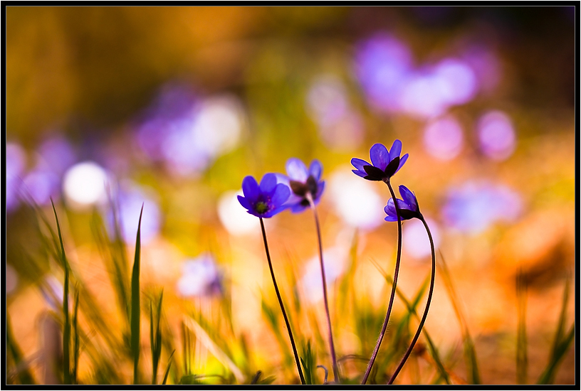 Nur einen Urlaub ...