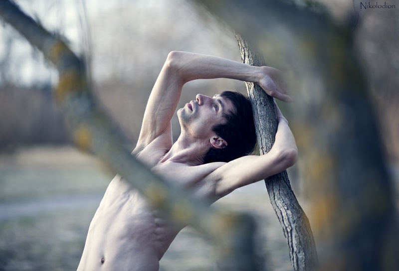 Die Zufälligkeit des Frühlings