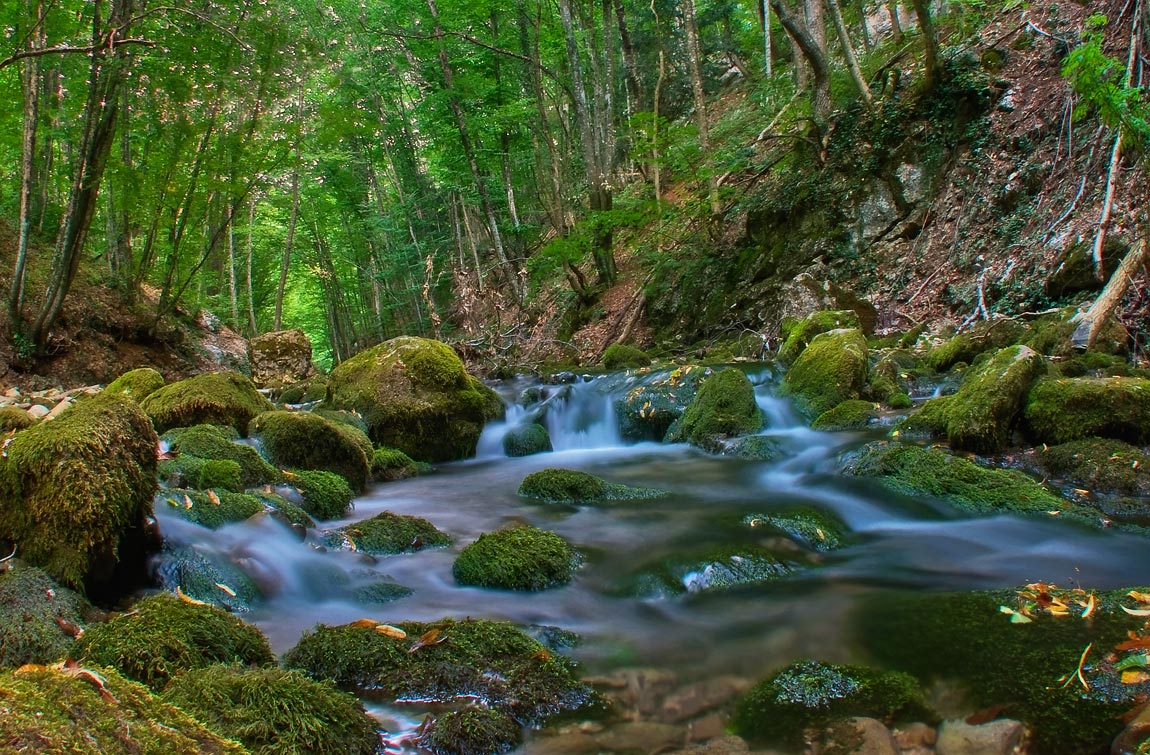 Am unteren Ende der Schlucht
