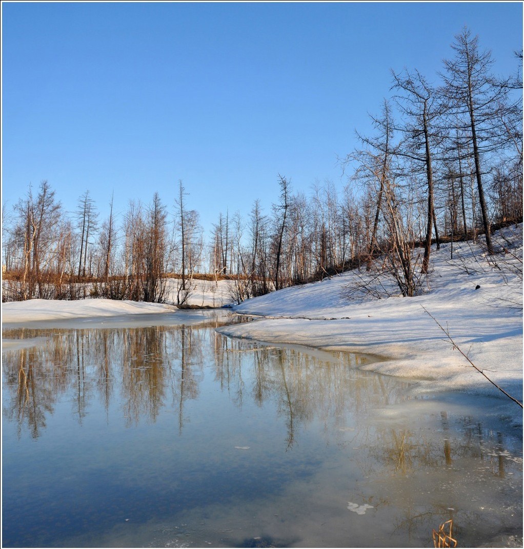 Der Frühling ist da!