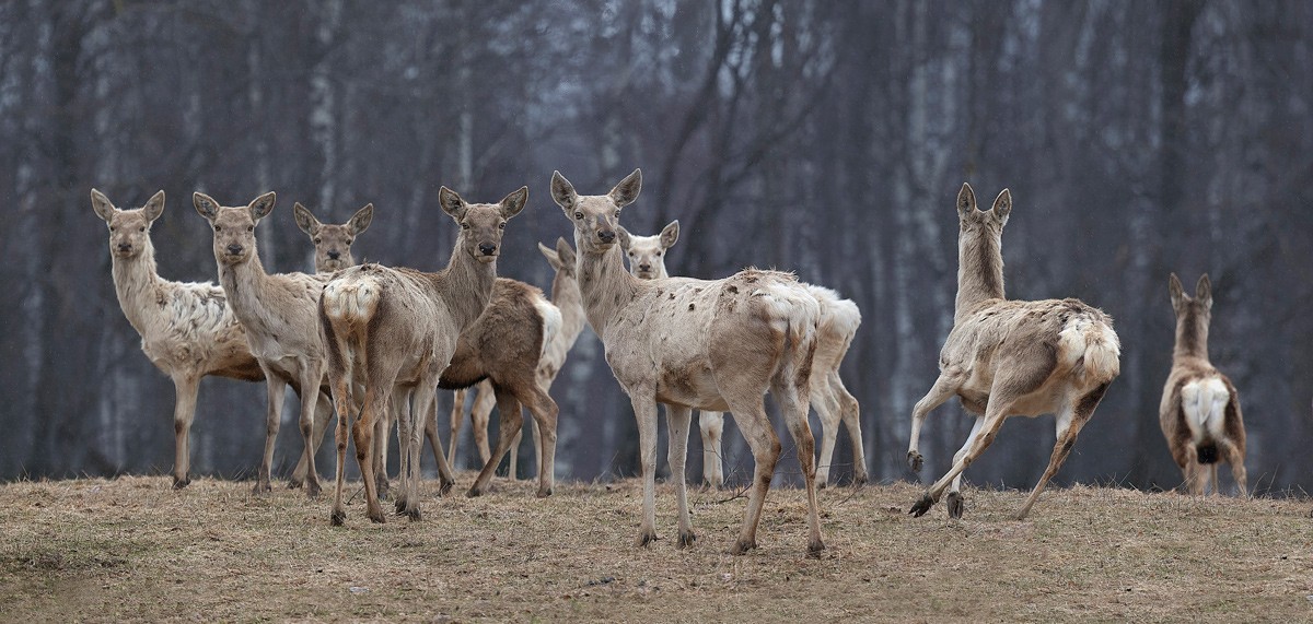 Jungs, wollen Ihre Füße!