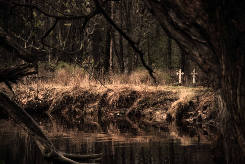 "Auf der anderen Seite ..."