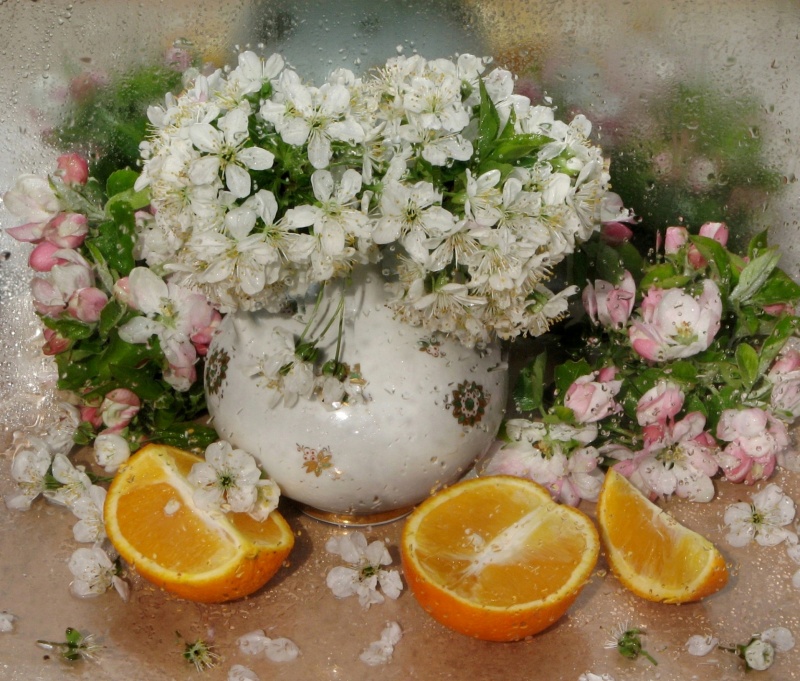 Frühling und Orange