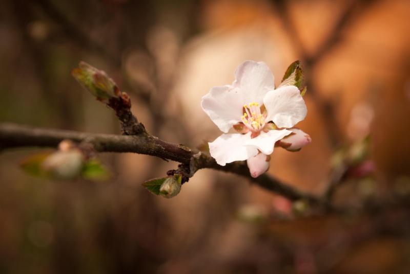 In den warmen Farben