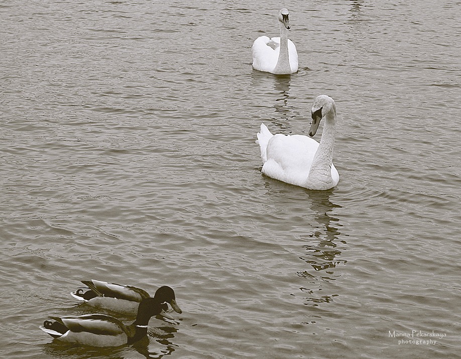 Hindernis auf der rechten Seite