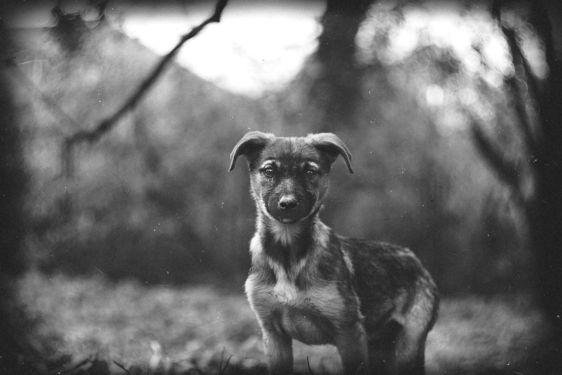 Look into the future