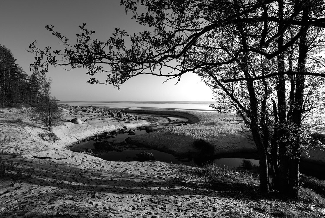 Alle Flüsse fließen