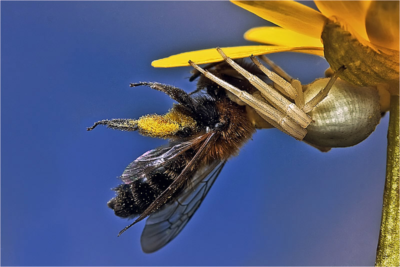 Haben Sie nicht erreichen