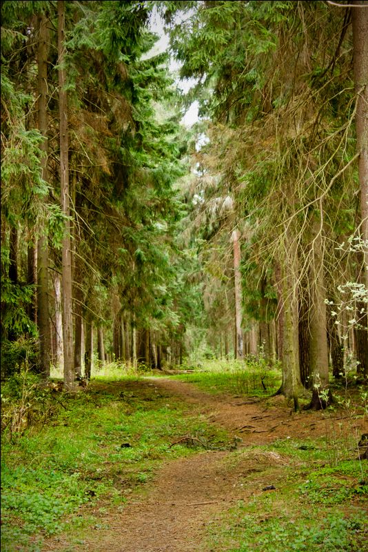 Im Frühjahr ans Licht!