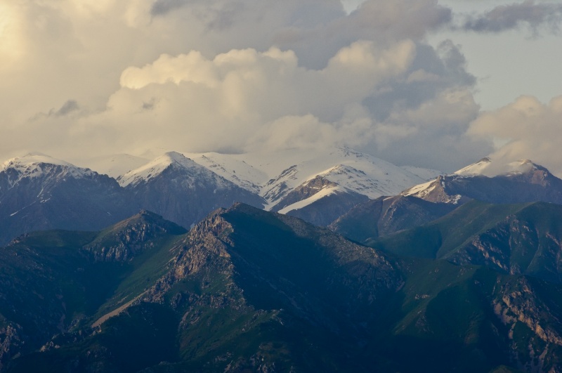 Der Frühling kommt, nicht alle und nicht immer