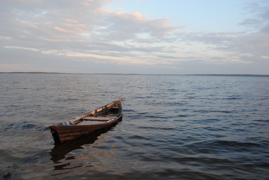 Lassen Sie sich nicht ...