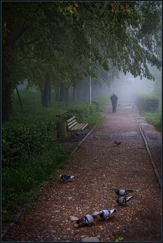 Morgen in den Park ...